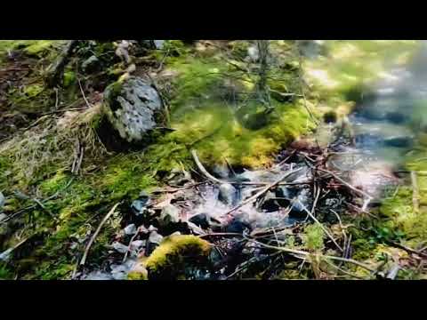 Stream and Fountain