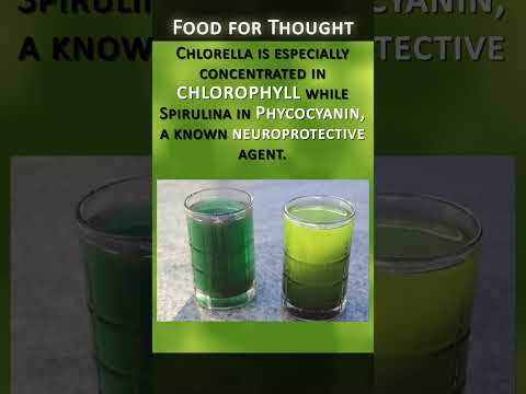 Spirulina VS Chlorella