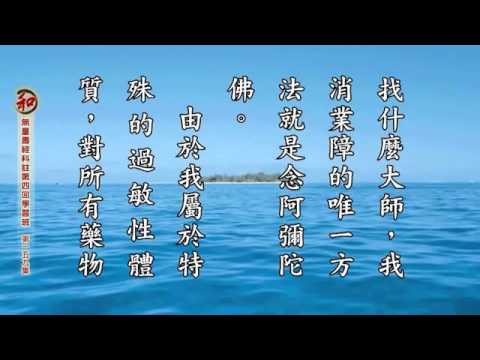 30/7/2015 -⑮刘素云老师学习报告： 无量寿经科注第四回学习班 (有字幕)