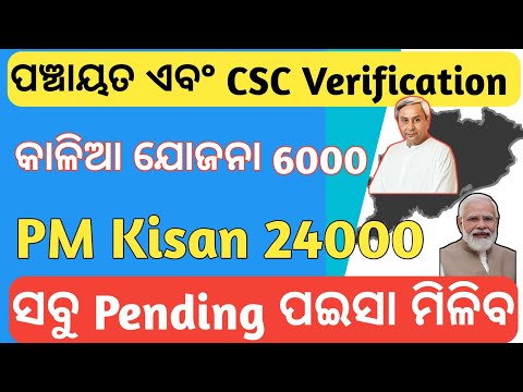 Panchayat Verification Started Again | How to get Kalia & PM kisan Payment Quickly