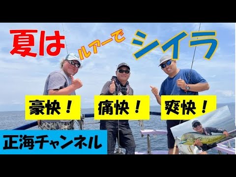 夏はルアーでシイラ