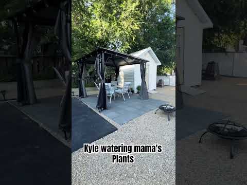 Kyle watering Mama's Plants #kyleinaction #mamasboy #littlehelper  #shorts