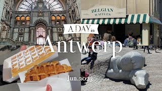 【Vlog】アントワープへ遊びに行く🐶🇧🇪｜観光スポット&古着屋巡り｜オランダ生活