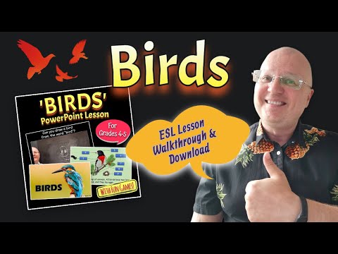 Birds - Grade 4-5 ESL Lesson Walkthrough and Download