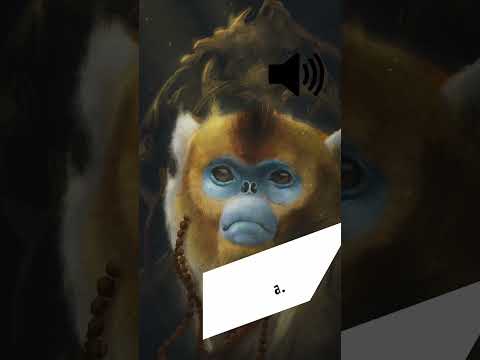 Painting in Photoshop - snub-nosed monkey #shorts