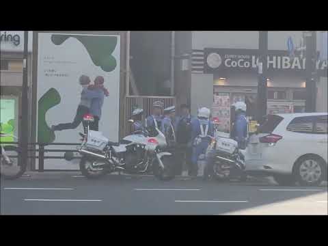 【交通違反】 電動キックボードで交通違反からの職務質問🚨?