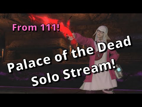 From Floor 111! Solo Palace of the Dead Stream with Machinist!