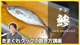 きまぐれクック流「アジの捌き方」-Jack mackerel-