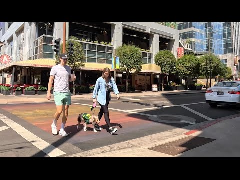 A Weekend in Downtown Phoenix - Bike Ride - Phoenix Arizona