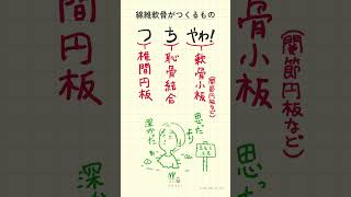 線維軟骨がつくるものの語呂合わせ～20秒で国試対策～