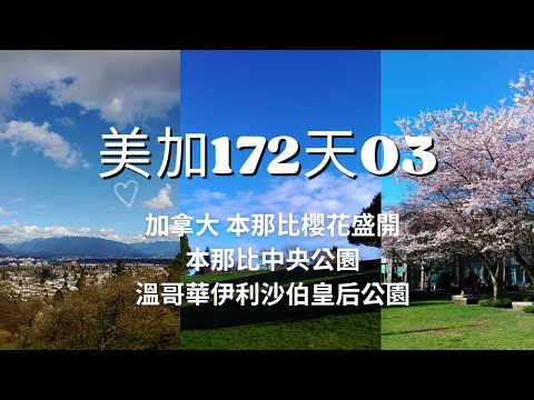 [美加172天]03 加拿大 本那比櫻花盛開 本那比中央公園 溫哥華伊利沙伯皇后公園