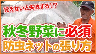 How to protect autumn and winter vegetables with insect nets taught by Japanese farmers !