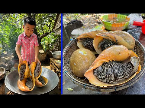 Yummy coconut snail cooking buy smart son - Chef Seyhak