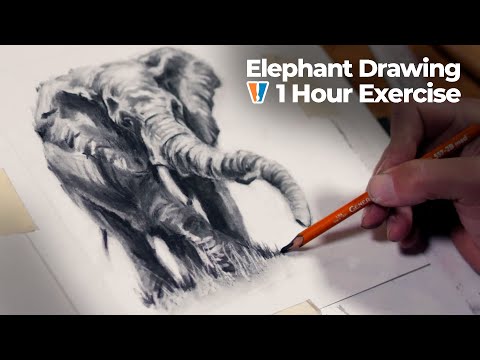 Elephant Drawing with Charcoal - 1 Hour Exercise