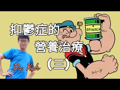 【抑鬱症的營養治療】抑鬱症  |  營養治療  |  第三節  |   鐵質的重要性