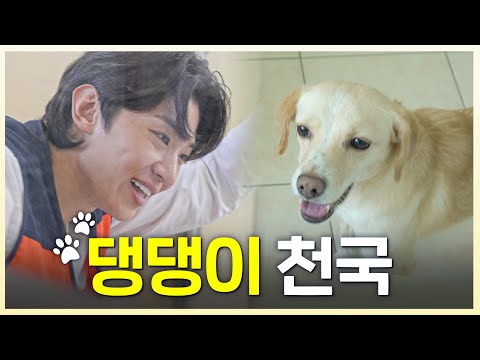 First visit to an abandoned dog shelter [Eng sub]