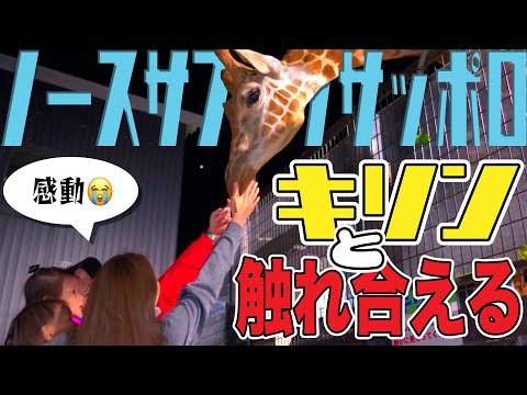 【ノースサファリサッポロ】キリンが目の前に！夜はちょ〜危険！！野生の熊が普通に出る！