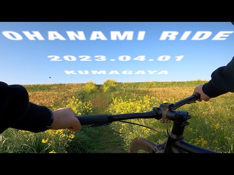 【ピスト】早朝にお花見ライドしてきました【FIXEDGEAR】