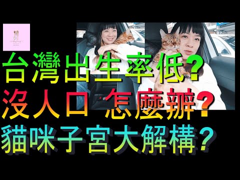 【移民台灣】台灣出生率超低｜貓咪子宮大解構｜食品級寵物乾洗｜家庭式水果蛋糕🍌🥭🍰｜健康美味｜香港人在台灣｜EP175