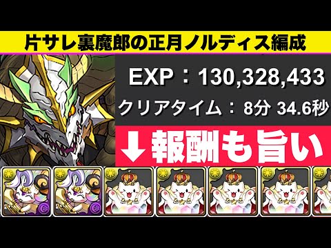 【片サレ裏魔廊】正月ノルディスでランク上げ&ニジピィ/たまドラも乱獲可能！裏修羅EXP1.5倍イベント期間中！【パズドラ】