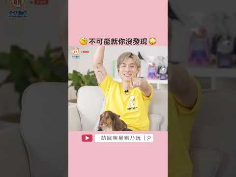 全世界都看出來了 就當事人霧裡看花？🤔【 萌寵明星粗乃玩 ✖ 戀愛季 】#shorts #Sandy #阿本 #溫妮 #曾沛慈 #張凱玲 #喜歡的人 #被喜歡著  @haveapetday