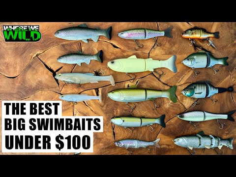 THE BEST BIG SWIMBAITS UNDER $100 - Beginner’s Guide - Tips & Tricks