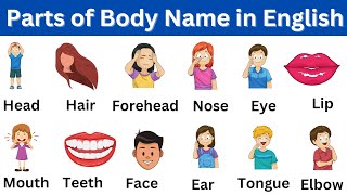 Human Body Parts Name | Human Body Parts Name in English | Body Parts Pictures | Name of Body Parts