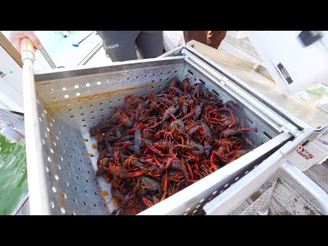 TEXAS Style Crawfish Boil On The Dock {Buy Clean Cook}