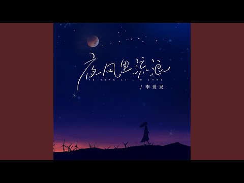 夜风里流浪 (Dj版)