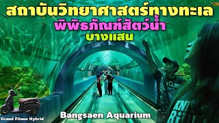 สถาบันวิทยาศาสตร์ทางทะเล | พิพิธภัณฑ์สัตว์น้ำ บางแสน | Bangsaen Aquarium