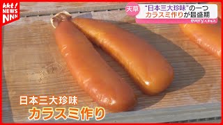 【日本三大珍味】天草でカラスミ作りが最盛期「少しあぶって熱々ご飯に だし茶漬けもおいしい」