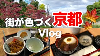 京都Vlog🍁秋の京都でリフレッシュ🍁色づく街を日帰り観光で満喫！