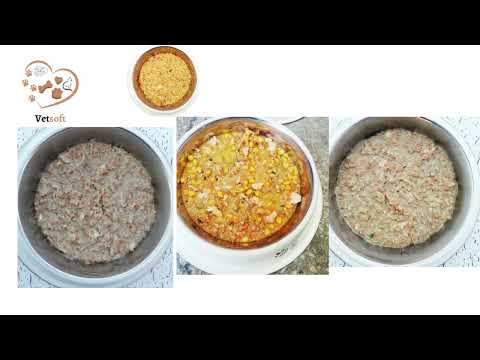 Homemade vet approved Dog Food Preparation and Feeding Trial on Dogs