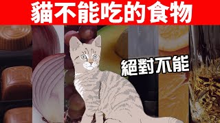 這8種常見食物絕對不能給貓吃，嚴重恐喪命，貓奴切記！【養貓必看EP33】