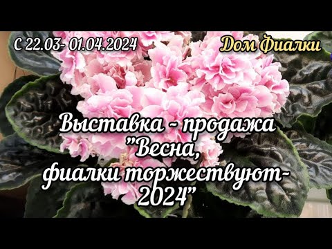 Фиалки - 24. Выставка - продажа  "Весна - ФИАЛКИ торжествуют" (г.Москва) #выставкафиалок #домфиалки