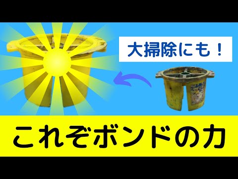 筆洗いバケツの絵の具の汚れの取り方【決定版】これもいけちゃう！？