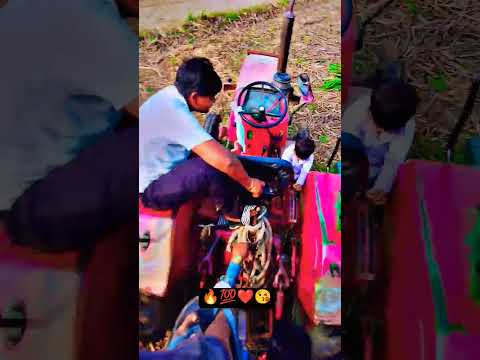 आज आया किटटु भी  खेत पर #ytshorts #music #hiphop #farmarlife #farming