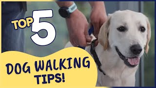 Top 5 Dog Walking Tips | How Loose Lead Walking Will Help You & Your Dog