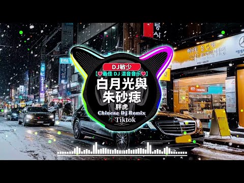 🔥2025最火歌曲DJ Remix【🔝 最佳 DJ 混音音乐】2025 年最强 DJ Remix 不间断热曲:【白月光與朱砂痣 ♪ 旧梦一场 ♪ 青絲 ♪ 飘洋过海来看你 ♪...】