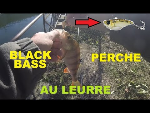 peche de la perche et du black-bass au leurre