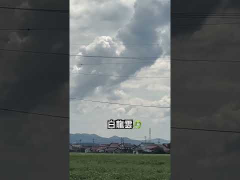 大空に湧き出た龍神様🐲#shorts #short #龍神様 #龍神雲 #白龍様 #龍雲