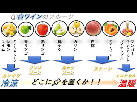 【ソムリエ２次試験対策】テイスティングを最速最短で習得する！？