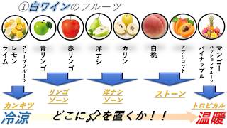 【ソムリエ２次試験対策】テイスティングを最速最短で習得する！？