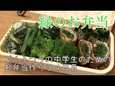 34日目♫ごく普通の中学生のためのお弁当づくり♫緑のお弁当♫