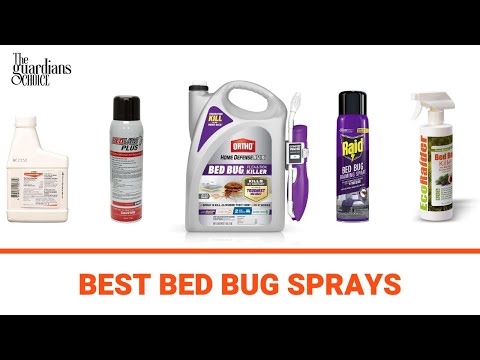 Top 10 Best Bed Bug Sprays 2022 | Video Review | The Guardians Choice