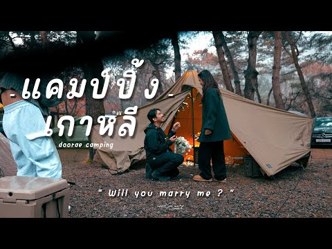 ขอแต่งงานกลางแคมป์ปิ้ง | แคมป์ปิ้งเกาหลี | ฤดูใบไม้เปลี่ยนสีที่ Doorae Camping