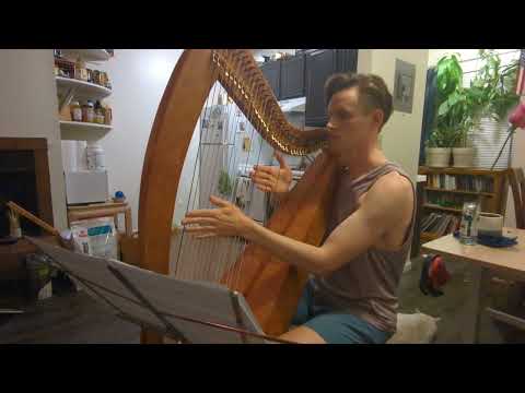 Far Horizons - The Elder Scrolls V, Skyrim - Celtic Harp