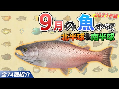 【あつ森】9月に釣れる魚を全て紹介！魚影や出現場所、時間、条件、買取値段など徹底解説！ゴールデントラウトやチョウザメ、サメ、シイラなどレア魚が大量【あつまれどうぶつの森　9月の魚図鑑コンプリート】