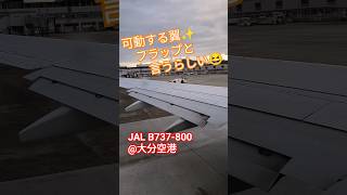 離陸前に翼が大きくなる🫡フラップと言うらしい✨#飛行機 #airplane #大分空港 #jal