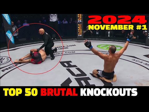 Top 50 Brutal Knockouts November 2024 #1 (MMA•Muay Thai•Boxing•Kickboxing)